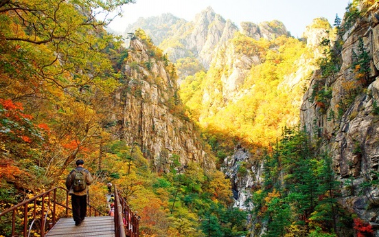 Kinh nghiệm để có một chuyến du lịch Hàn Quốc để đời mà vẫn “ngon - bổ - rẻ”