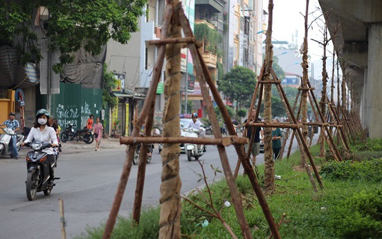 Hà Nội: Trồng cây dưới gầm đường sắt trên cao