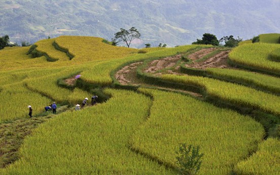 Đặc sắc Ngày hội văn hóa du lịch vùng cao Na Hang