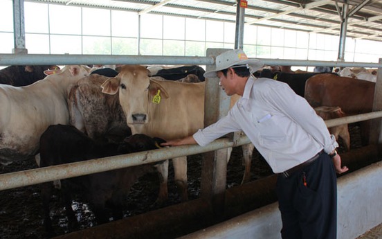 Đắk Lắk: Nhiều sai phạm trong Dự án đầu tư phát triển chăn nuôi gia súc hướng thịt tại huyện M’Đrắk