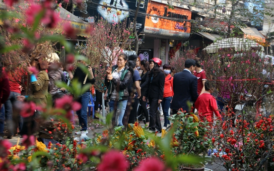 Hà Nội tổ chức 60 điểm chợ hoa Tết Đinh Dậu 2017