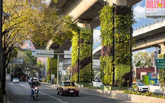Mexico "vườn hóa" đường trên cao làm sạch đẹp thành phố