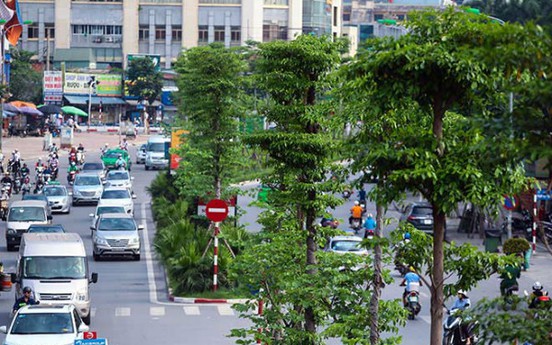 Hà Nội trồng mới thêm hơn 620.000 cây xanh