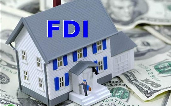 TS. Lưu Bích Hồ: Không nên thu hút vốn FDI quá nhiều vào bất động sản