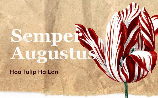 Bông hoa tulip dính virus đã tạo nên bong bóng tài chính nổi tiếng nhất lịch sử nhân loại như thế nào?