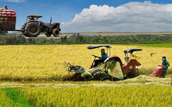Bà Rịa - Vũng Tàu: Rà soát giá đất nông nghiệp tính bồi thường