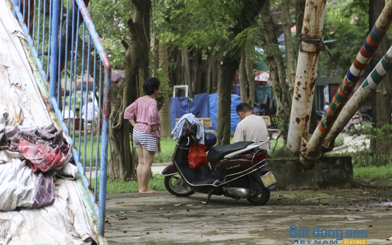 Hà Nội nhuộm sắc vàng muồng Hoàng Yến