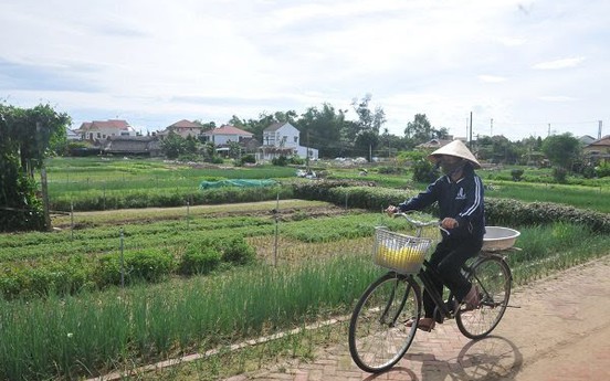 Special system needed for homestays in Hoi An