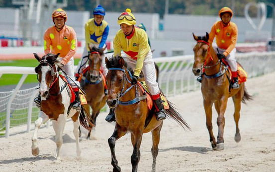Danang wants $2 billion golf course, horse racing track