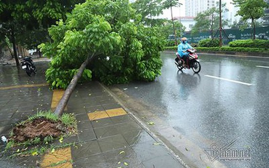 Dự báo thời tiết ngày 31/8/2019: Hà Nội có mưa dông lớn