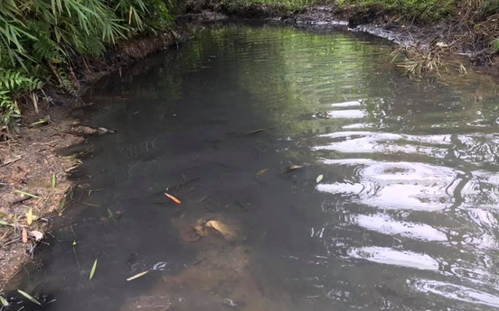 Bắt khẩn cấp 2 đối tượng đổ trộm dầu thải gây ô nhiễm nguồn nước sông Đà