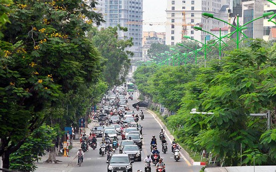 Hà Nội xin cơ chế đặc thù trồng 600.000 cây xanh không qua đấu thầu