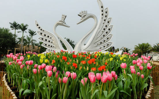 Thưởng thức "Bản giao hưởng mùa xuân" tại Ecopark