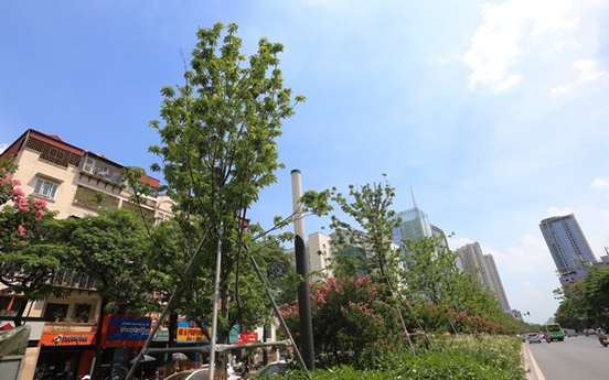 Hà Nội: Hệ thống cây xanh đã thay đáng kể sự bức nhiệt đô thị