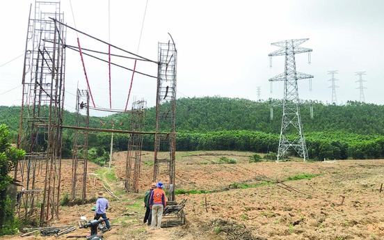 Nghệ An đồng ý chuyển hơn 54ha rừng thực hiện thi công đường dây 500kV đấu nối NMNĐ Nghi Sơn 2