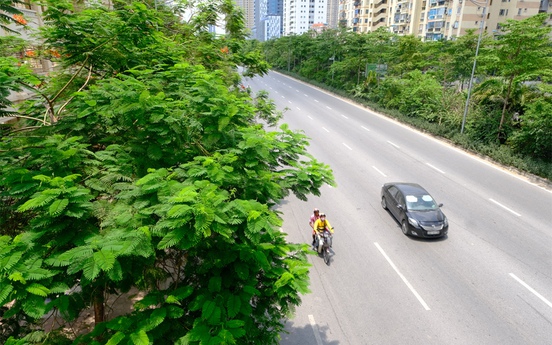 Hà Nội trồng được hơn 67.700 cây xanh trong 6 tháng đầu năm 2020