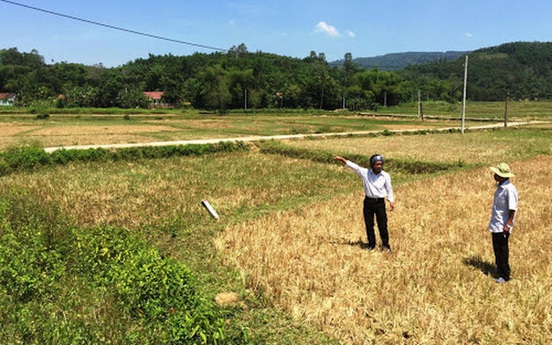 Bất động sản 24: Đầu cơ buôn đất ruộng ở Nhơn Trạch kiếm hàng chục tỷ đồng