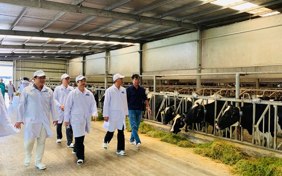 “Resort” bò sữa Tây Ninh là hạt nhân để xây dựng vùng chăn nuôi bò sữa an toàn dịch bệnh