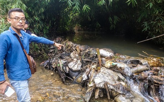 Khởi tố vụ án gây ô nhiễm môi trường nguồn nước sông Đà