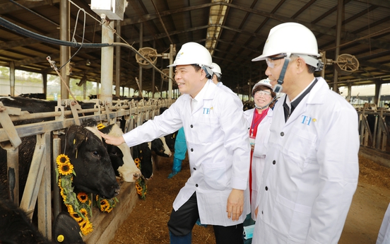 Tập đoàn TH đón đợt đầu tiên của đàn bò sữa cao sản thuần chủng 4.500 con từ Mỹ