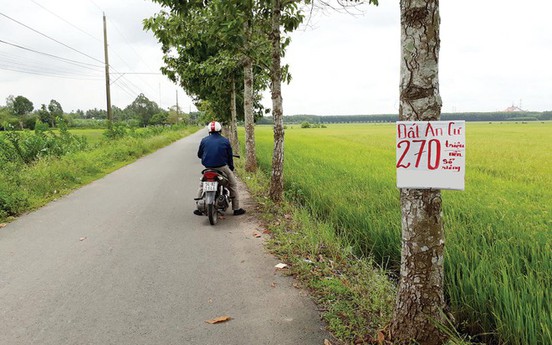 Bất động sản 24h: Bất động sản Long Thành ồ ạt bán đất tái định cư