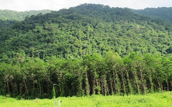 Quảng Trị: Thủ tướng Chính phủ đồng ý chuyển 360,5ha rừng làm KCN Triệu Phú