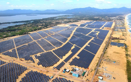 Bình Định: Đề nghị khắc phục hậu quả vụ doanh nghiệp điện mặt trời lấn chiếm đất rừng phòng hộ