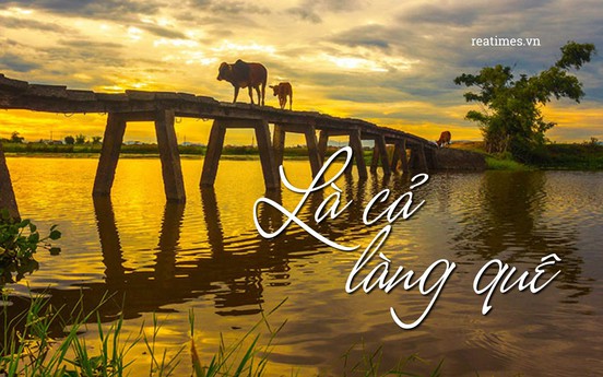 Là cả làng quê