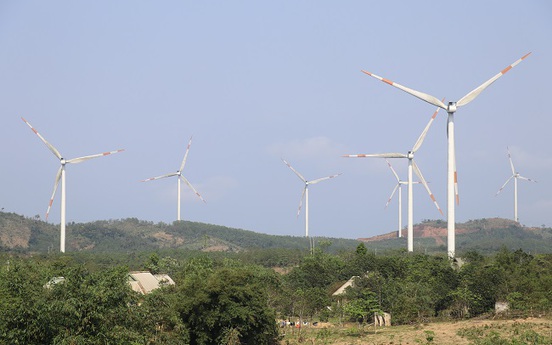 Quảng Trị chuyển đổi hơn 20ha đất lâm nghiệp làm điện gió