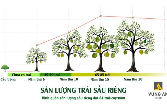 “Bánh vẽ“ góp vốn trồng sầu riêng, nguy cơ mất trắng vì bất khả kháng