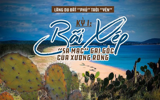 Kỳ I: Bãi Xép, “sa mạc” gai góc của xương rồng