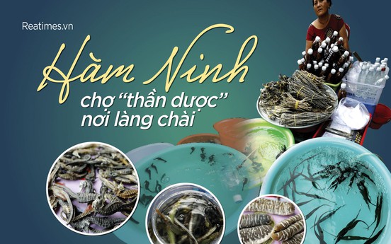 Hàm Ninh - Chợ “thần dược“ nơi làng chài