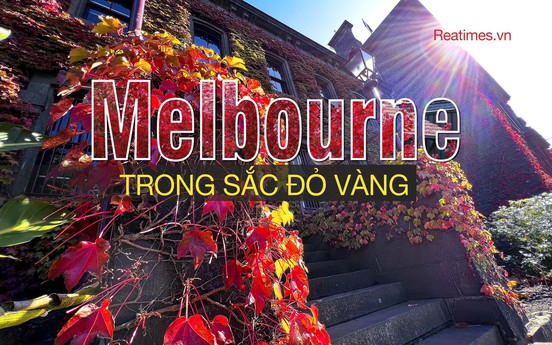 Photo Travel: Mùa “nhuộm màu” lá ở Melbourne