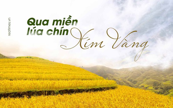 Qua miền lúa chín Xím Vàng