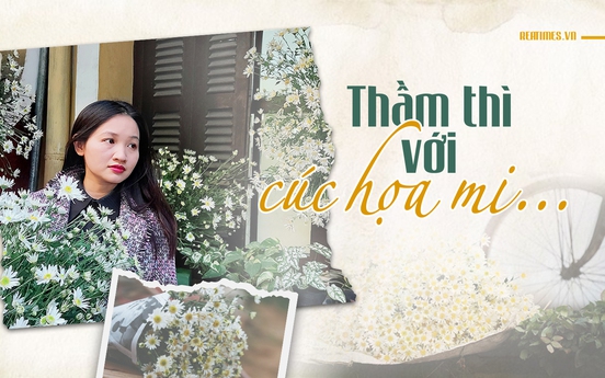 Thầm thì với cúc họa mi…