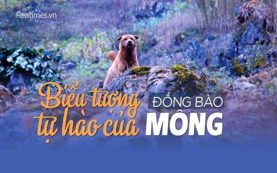 Photo Travel: “Thần khuyển” cao nguyên đá