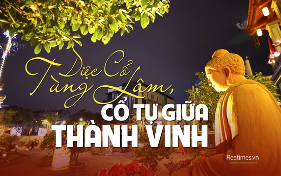 Diệc Cổ Tùng Lâm - Cổ tự giữa Thành Vinh