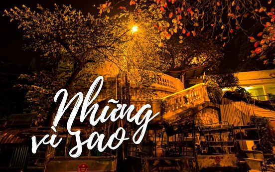 Những vì sao