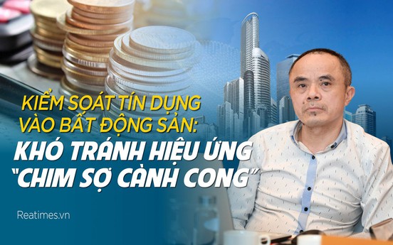 Bài 5: Khó tránh hiệu ứng chim sợ cành cong