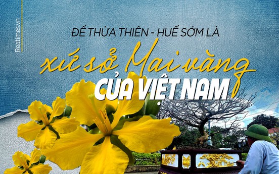 Để Thừa Thiên - Huế sớm là xứ sở Mai vàng của Việt Nam