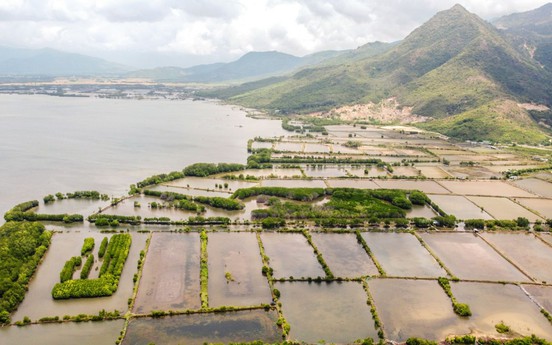 Năm 2023, Cam Lâm sẽ thu hồi gần 250ha đất nông nghiệp