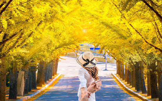 Vi vu xứ Hàn ngắm lá phong mùa thu này với thẻ tín dụng VIB