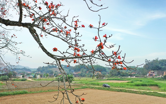 Những đường xuân rộng mở