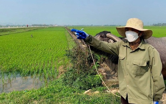 Chuyên gia cảnh báo “mua dễ khó bán“ khi giá bất động sản tăng vù vù