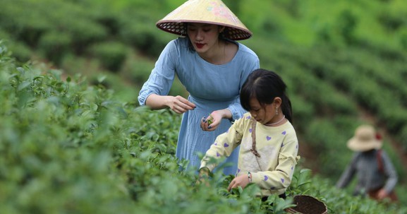 Tiếp tục chuyển đổi mạnh từ tư duy sản xuất nông nghiệp sang kinh tế nông nghiệp