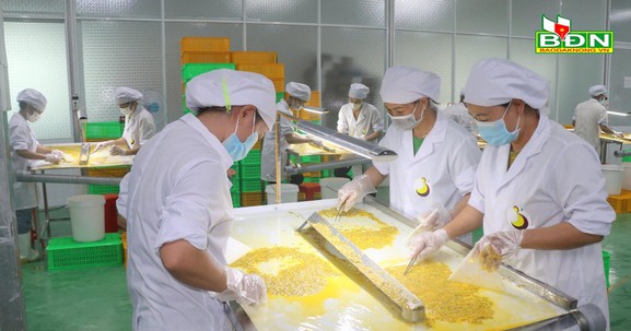 Đắk Nông: Nỗ lực "trải thảm đỏ" chờ nhà đầu tư