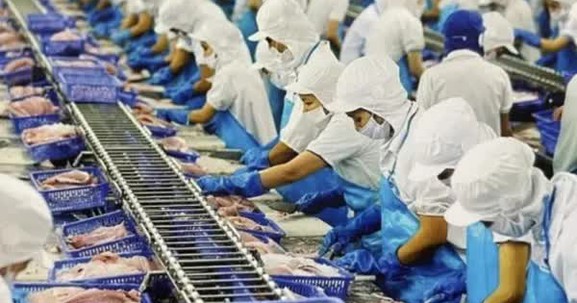 Việt Nam’s economy poised for 6% growth in 2024, fueled by export recovery: AMRO