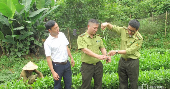 Thái Nguyên: Ban hành đơn giá bồi thường thiệt hại khi Nhà nước thu hồi đất