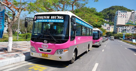Hải Phòng hủy bỏ quy hoạch phát triển mạng lưới xe buýt