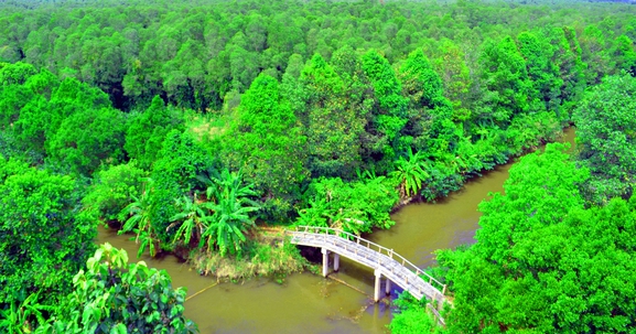 Hậu Giang quy định hạn mức giao đất, cho thuê đất, công nhận quyền sử dụng đất